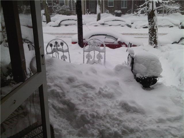 snow1 snow1