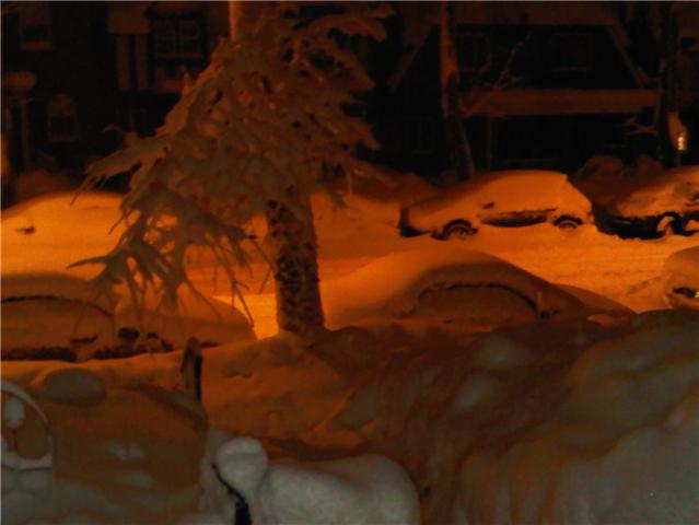 treesnow Wee hours