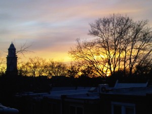 Back porch, 05 May 10, 17:54