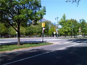 Hit-and-run scene