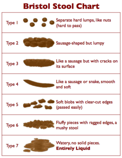 Here's to Poo!