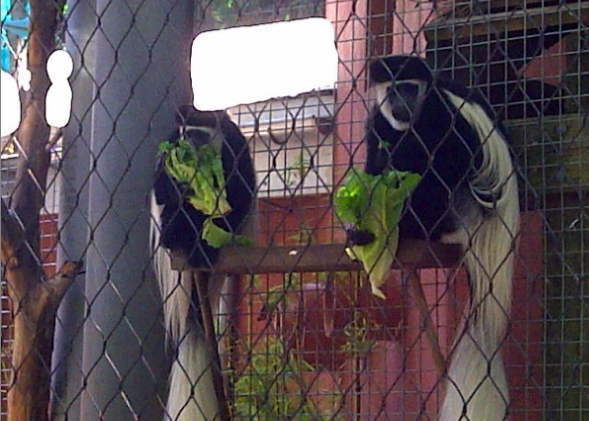 Picture 2 Saturday, June 16, Philadelphia Zoo