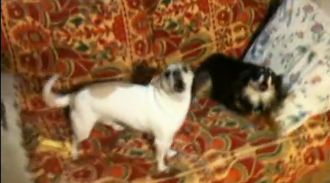 Picture 3